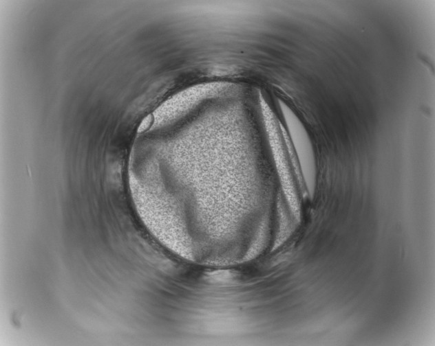 X0000102310269200808152048