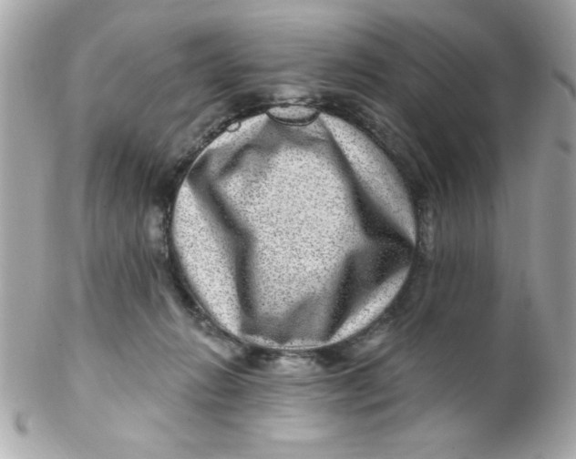 X0000102310270200808152048