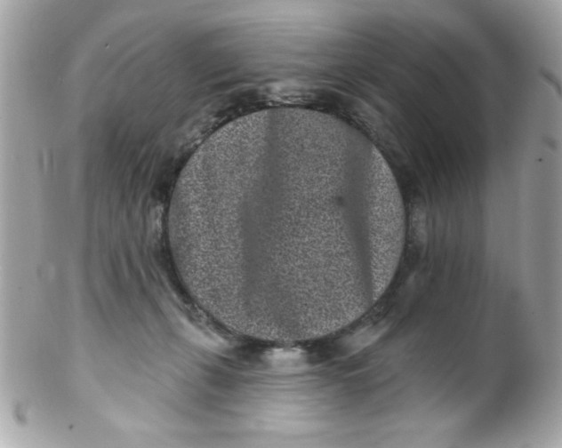 X0000102310271200808152049