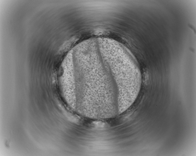 X0000102310272200808152049