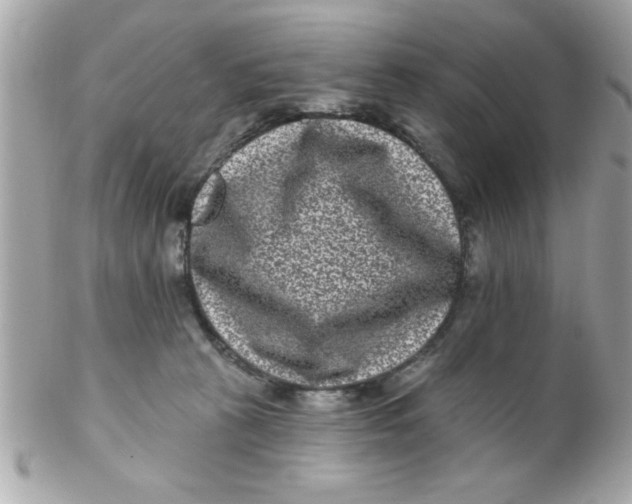 X0000102310273200808152049