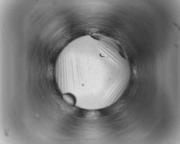 X0000102310274200808152049