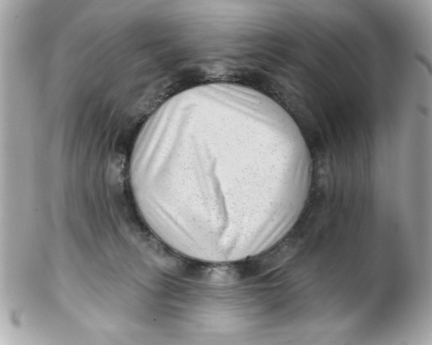 X0000102310275200808152049