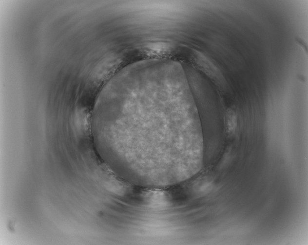 X0000102310276200808152049