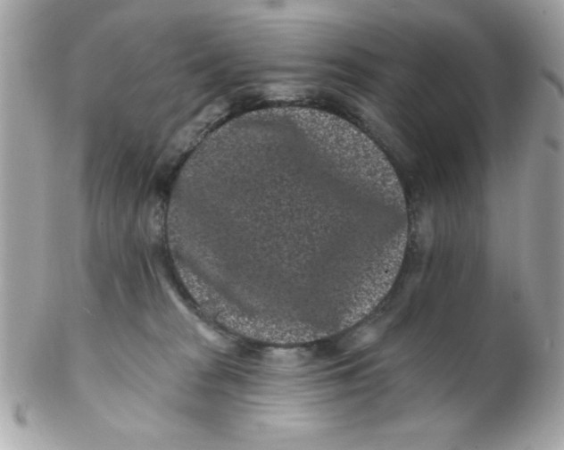 X0000102310277200808152049