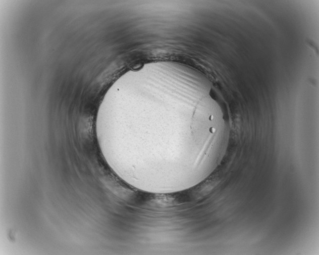 X0000102310278200808152049