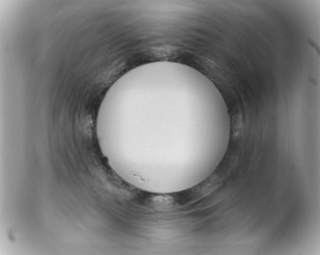 X0000102310279200808152049