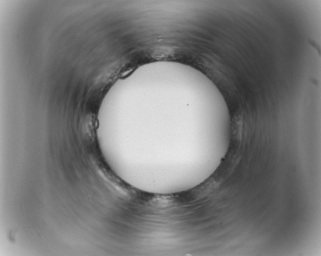 X0000102310280200808152049