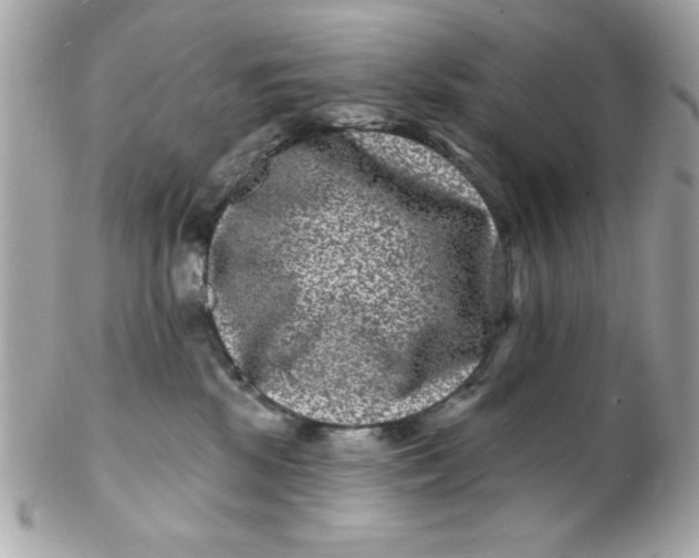 X0000102310281200808152049