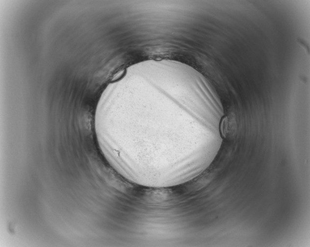 X0000102310282200808152049