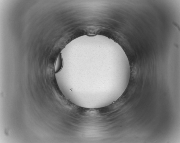 X0000102310283200808152049