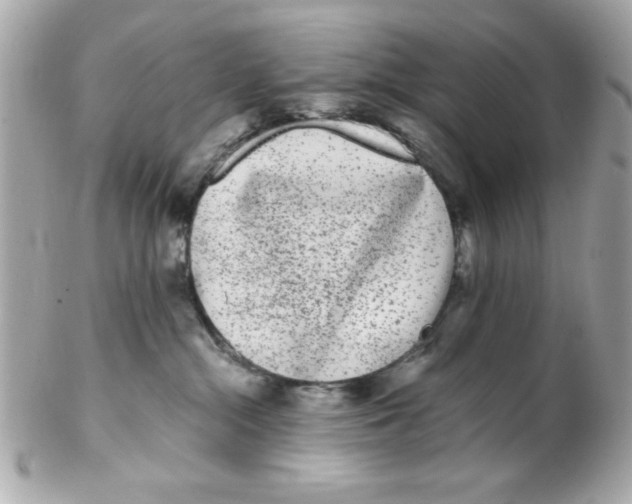 X0000102310284200808152049