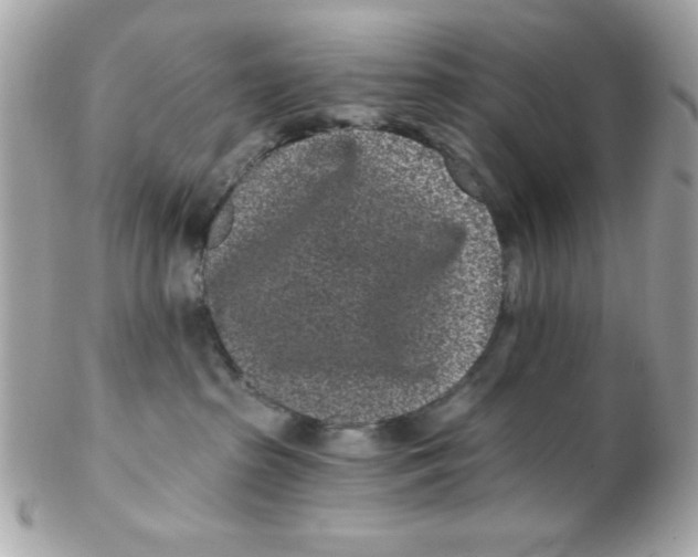 X0000102310285200808152049