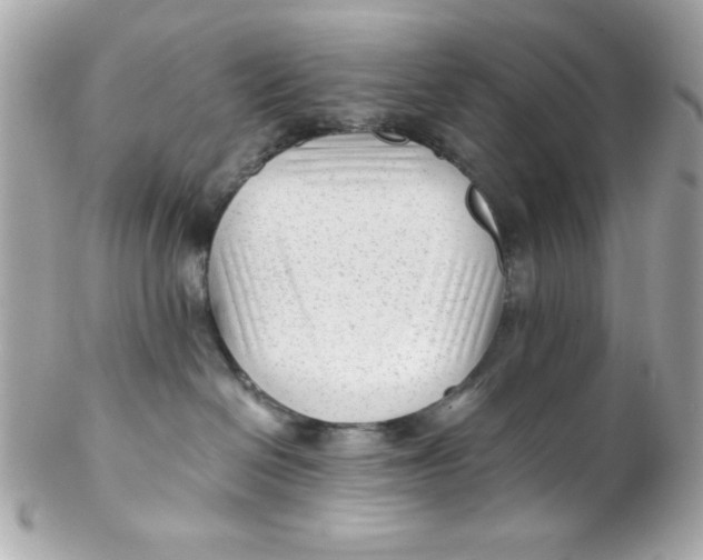 X0000102310286200808152049