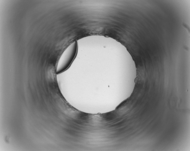 X0000102310287200808152049