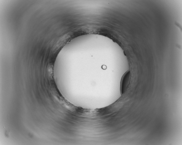 X0000102310288200808152049