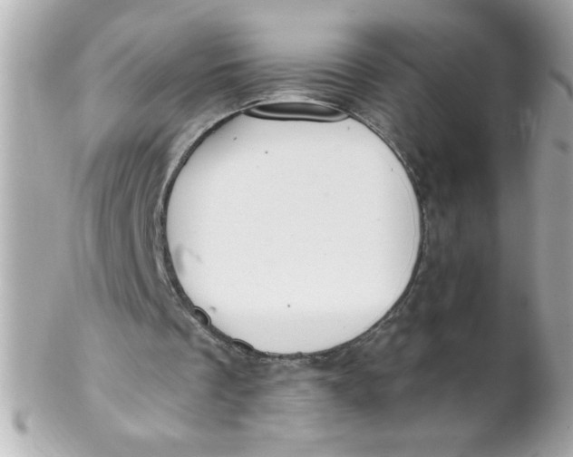 X0000102310289200808152048
