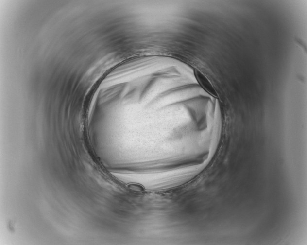 X0000102310290200808152048