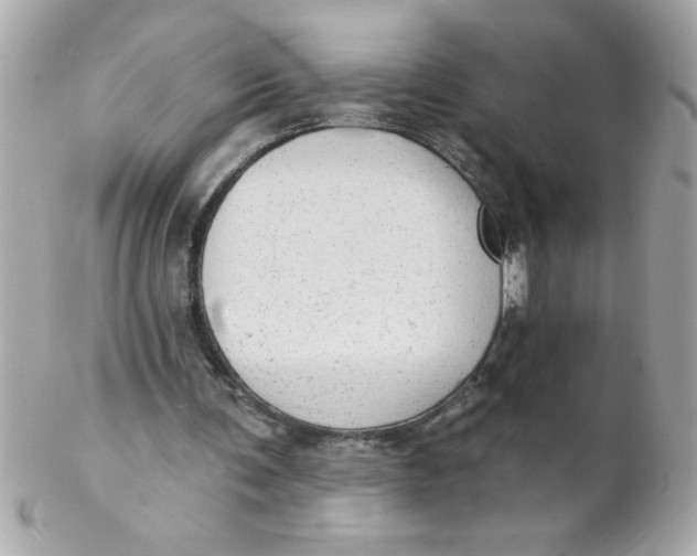 X0000102310291200808152048