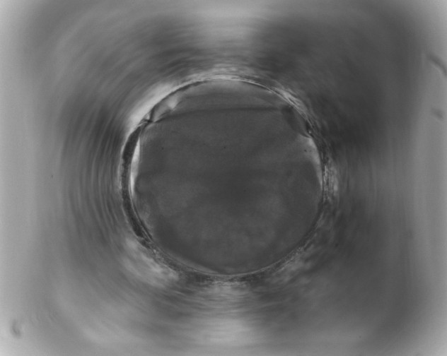 X0000102310292200808152048