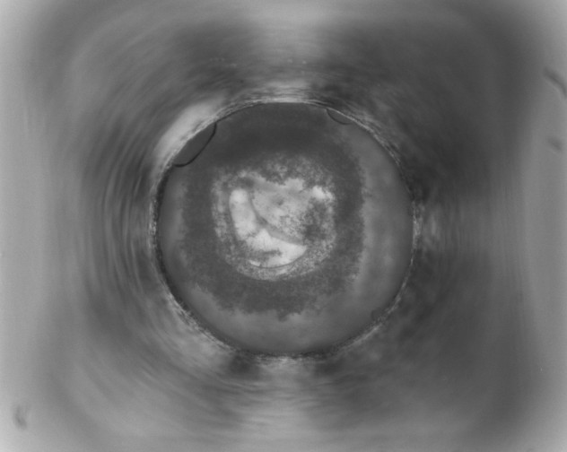 X0000102310293200808152048
