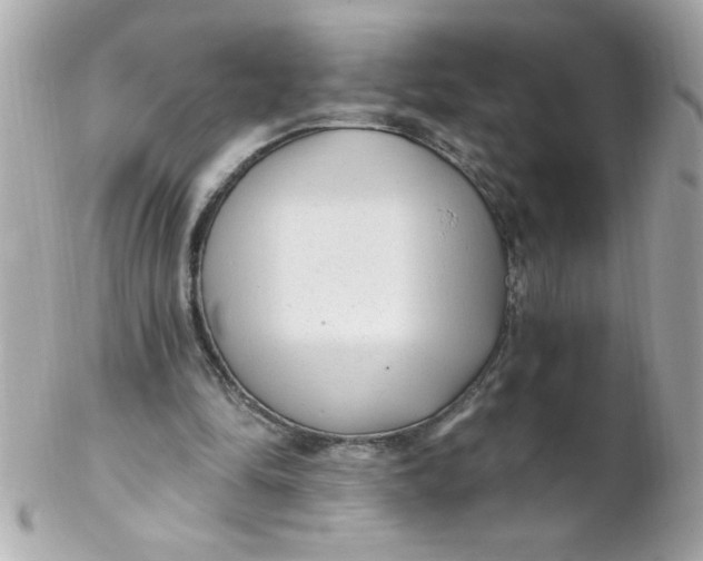 X0000102310294200808152048