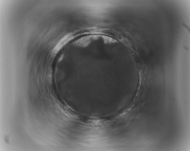 X0000102310295200808152048