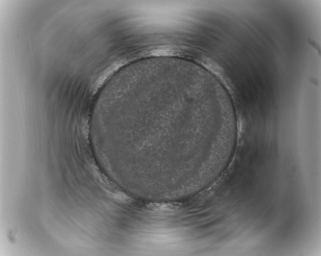 X0000102310297200808152048