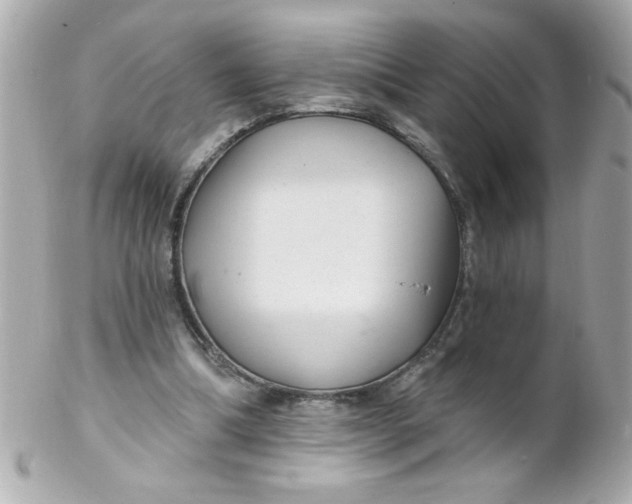X0000102310298200808152048