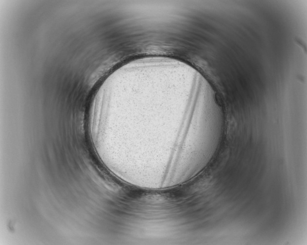 X0000102310299200808152048