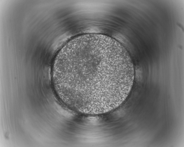 X0000102310302200808152048