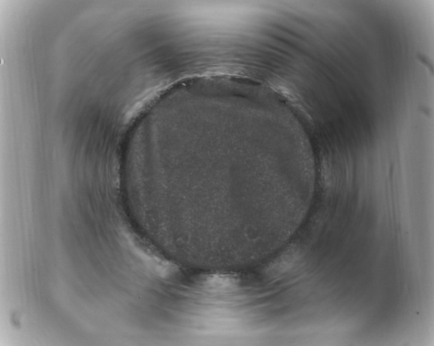 X0000102310303200808152048