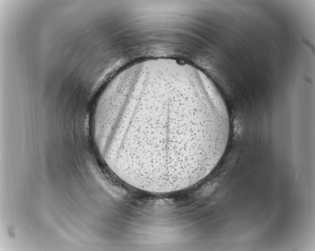 X0000102310304200808152048
