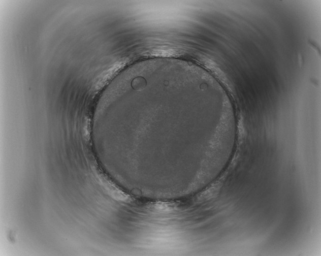 X0000102310305200808152048