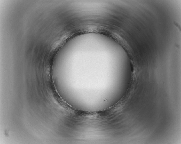 X0000102310306200808152048