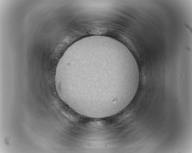 X0000102310307200808152048