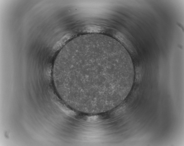 X0000102310309200808152048