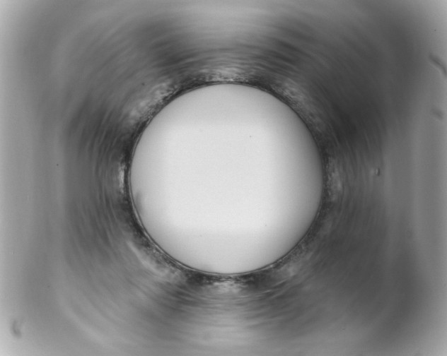 X0000102310310200808152048