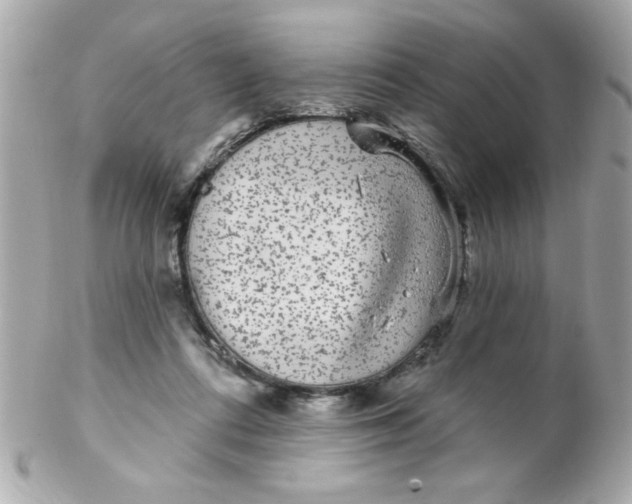 X0000102310312200808152048