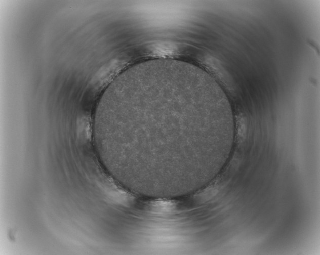 X0000102310313200808152048