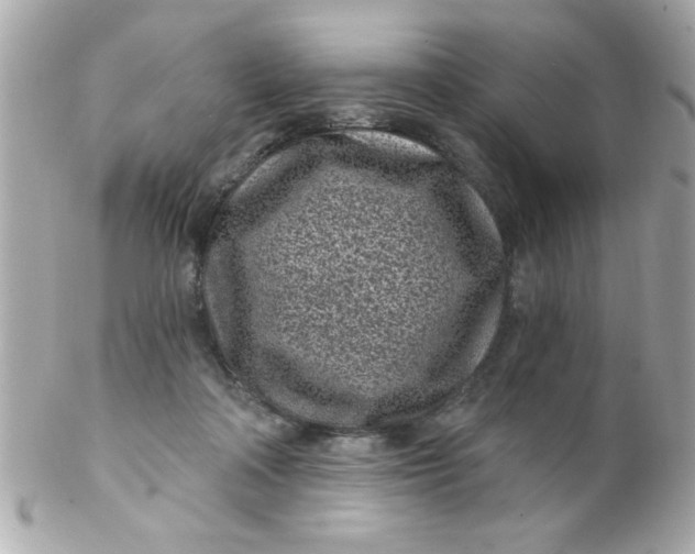 X0000102310314200808152048