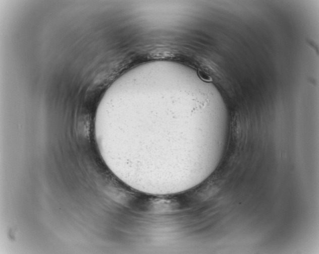 X0000102310315200808152048