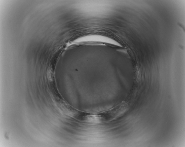X0000102310316200808152048