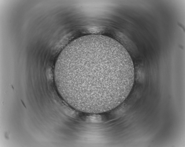 X0000102310317200808152048