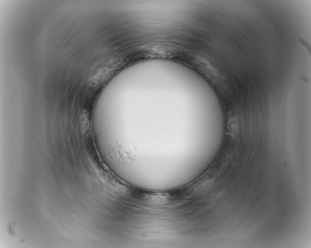 X0000102310318200808152047