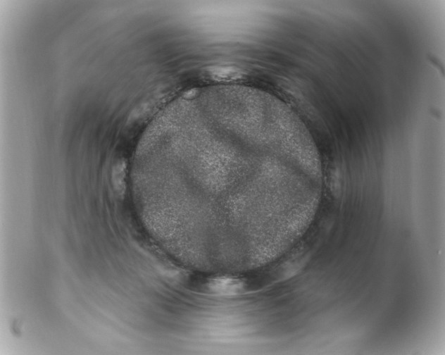 X0000102310319200808152047