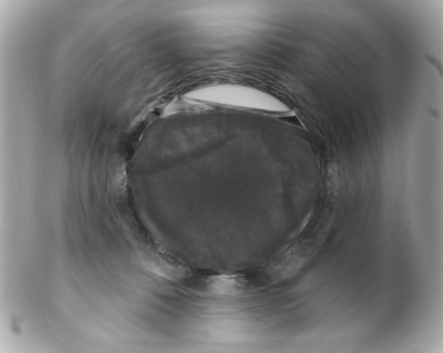 X0000102310320200808152047