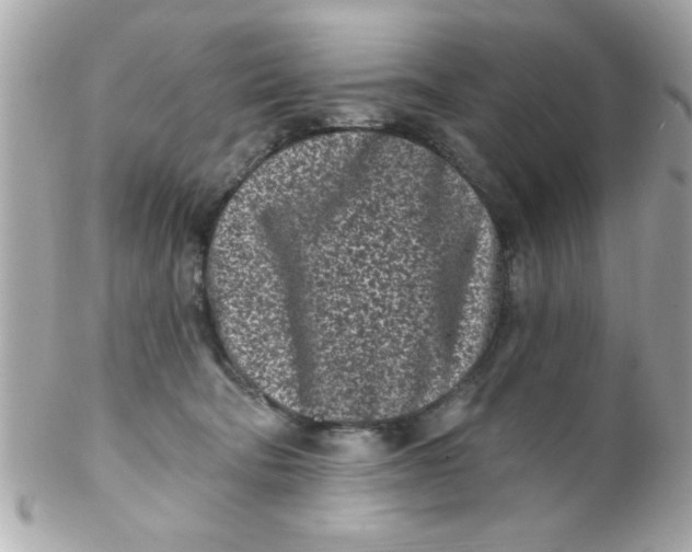 X0000102310322200808152047