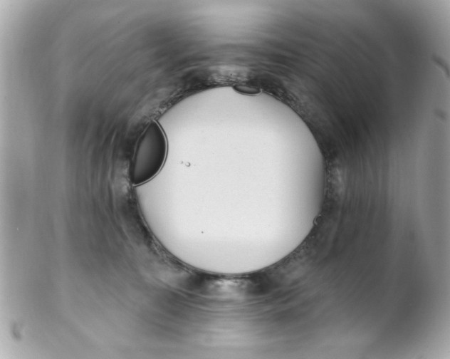X0000102310323200808152047