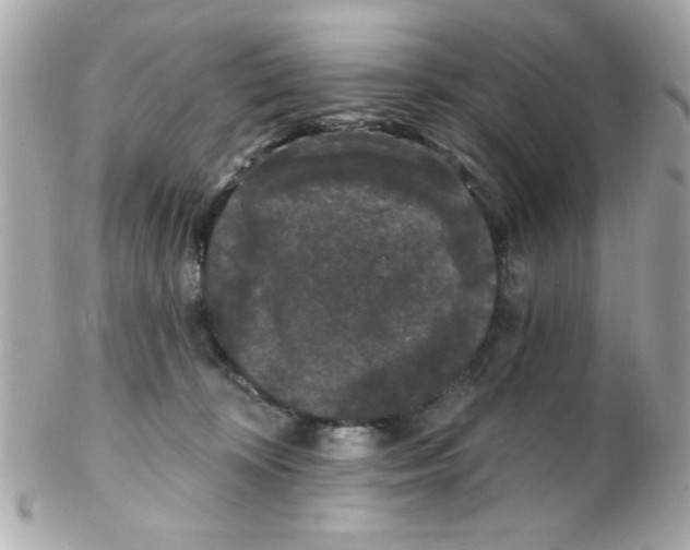 X0000102310324200808152047
